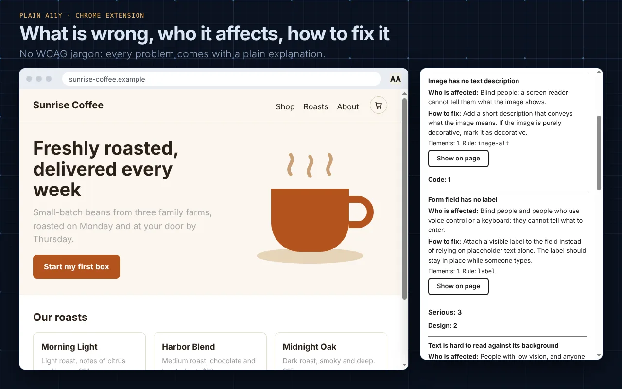 The popup explains the problem “Image has no text description”: who is affected, how to fix it, and a Show on page button.